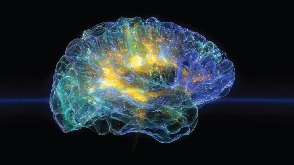 Glass Brain is illuminated with yellow lights from within a blue and teal tinged glass wavy surface