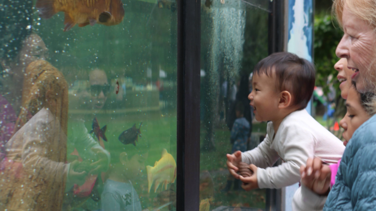 Ecstatic baby smiling at fish in a mobile aquarium