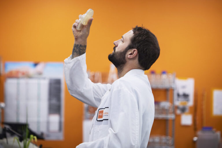 A scientist in a white lab coat holds up circular plates and looks at the substance