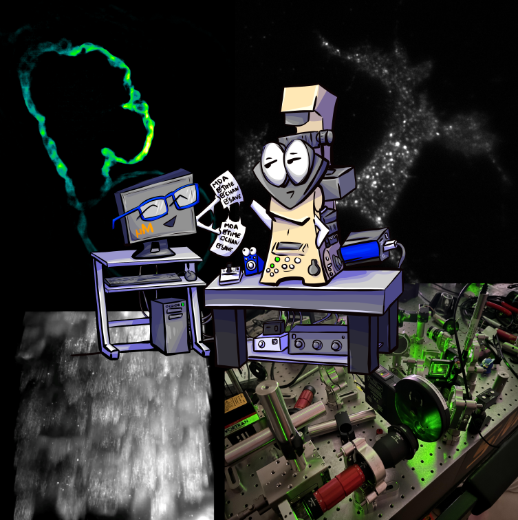 Cartoon of a microscope and computer exchanging information
